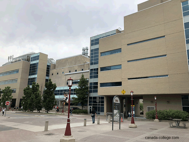University of Ottawa